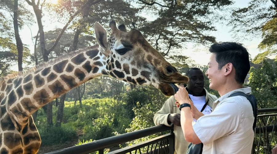 Where Conservation Meets Curiosity