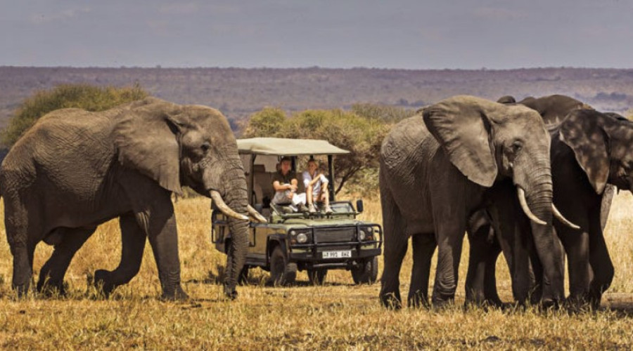 Game Drives- Classic, Comfortable & Wildly Scenic