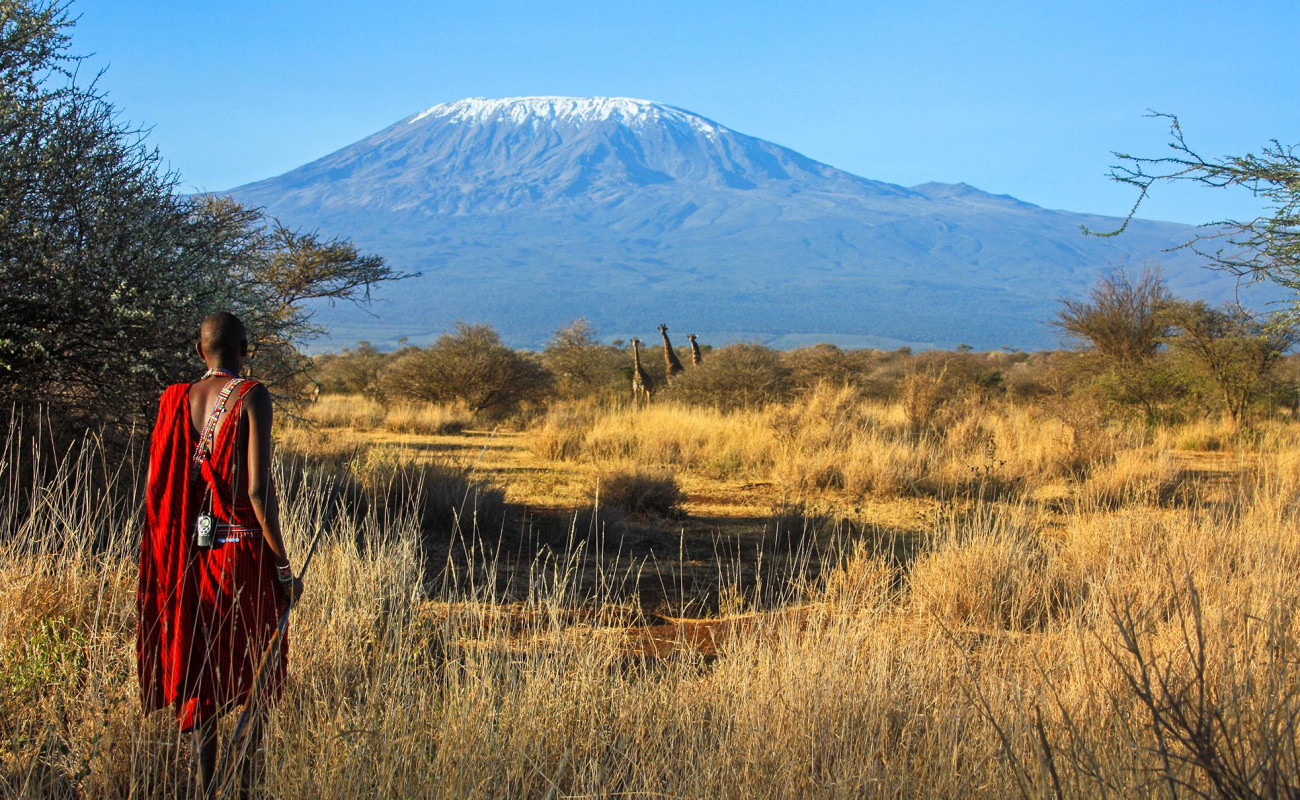 Mount Kenya vs Kilimanjaro Which Trek Should Be Your Next Adventure?