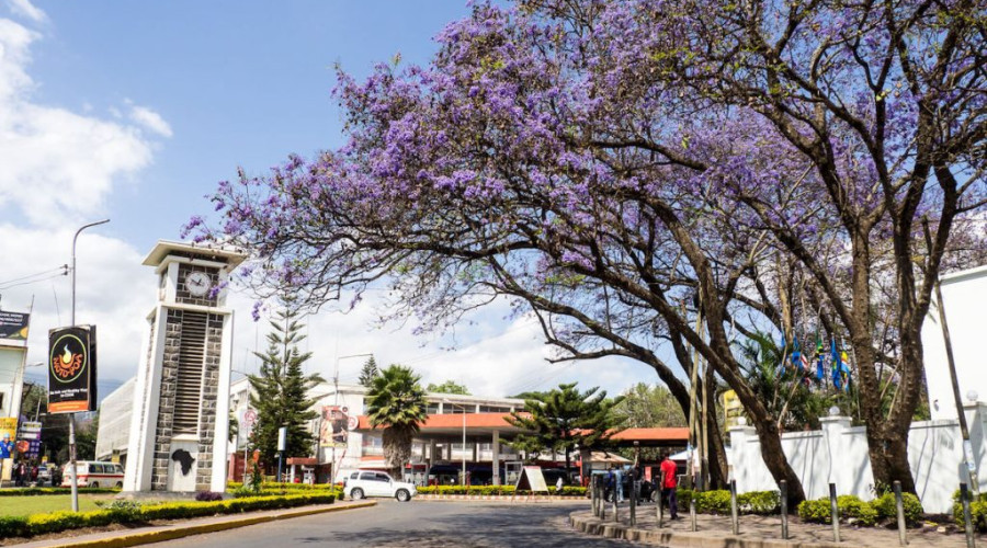 Explore Arusha City with a Local Guide