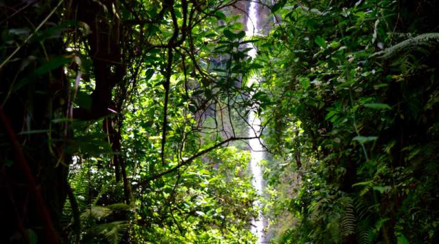 Hike to Napuru Waterfall in Suye Hill