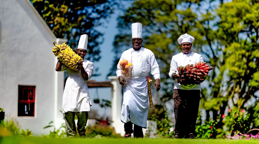 Cook Swahili Dishes with a Local Family