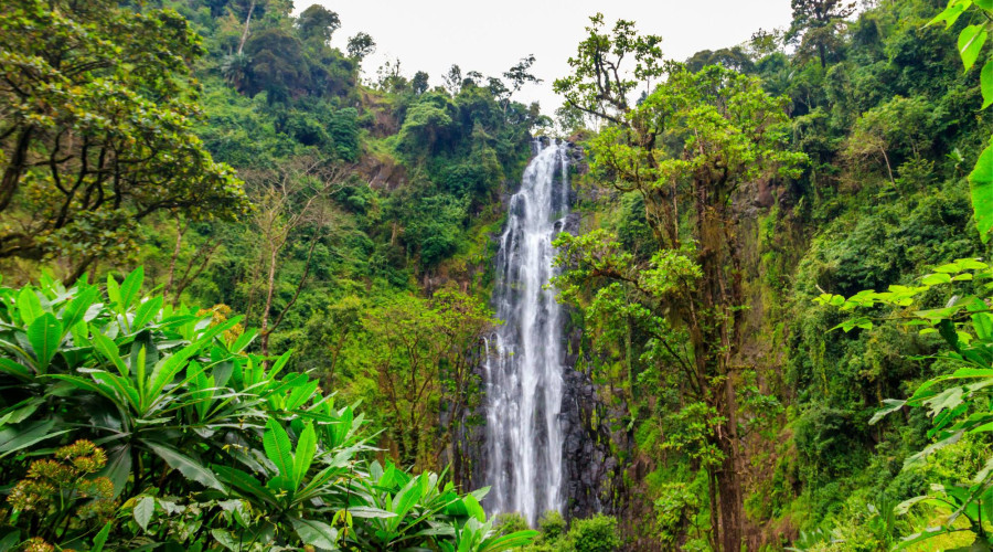 Materuni Waterfalls and Traditional Coffee Experience