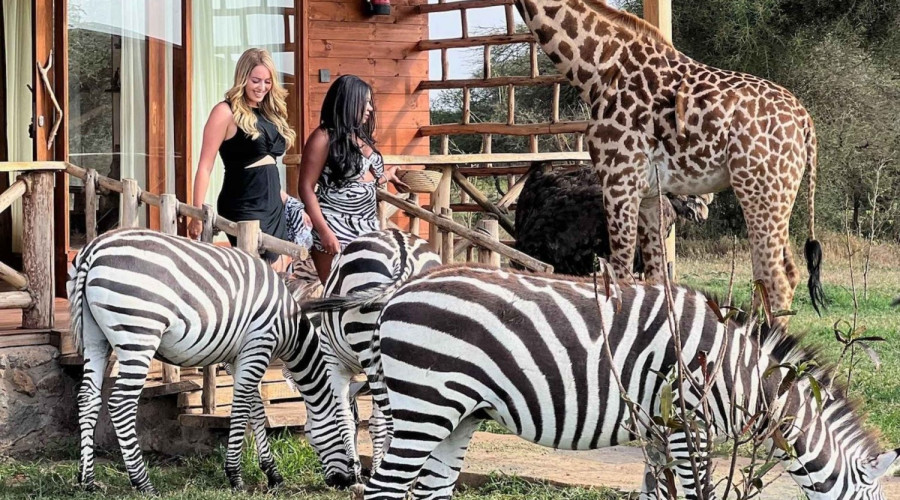 Visit Serval Wildlife Sanctuary in Siha