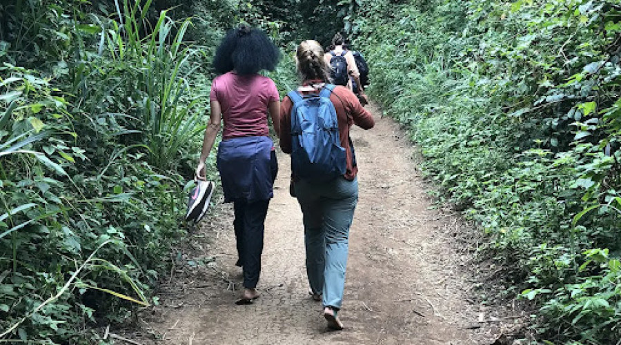 Rau Forest Walk and Wetland Birdwatching