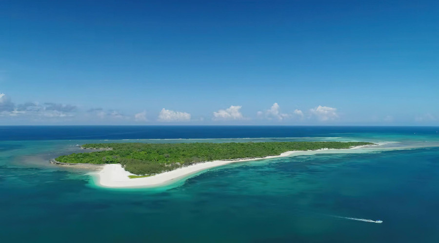 Take a Boat Ride to Bongoyo Island Marine Reserve