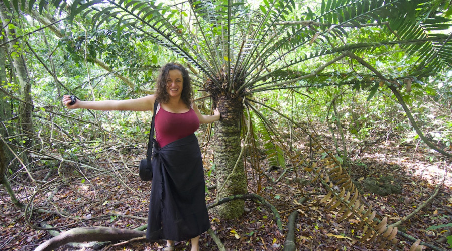 Visit the Sacred Kaya Forests of the Mijikenda