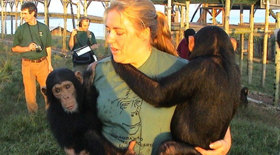 Cruise to Ngamba Island Chimpanzee Sanctuary