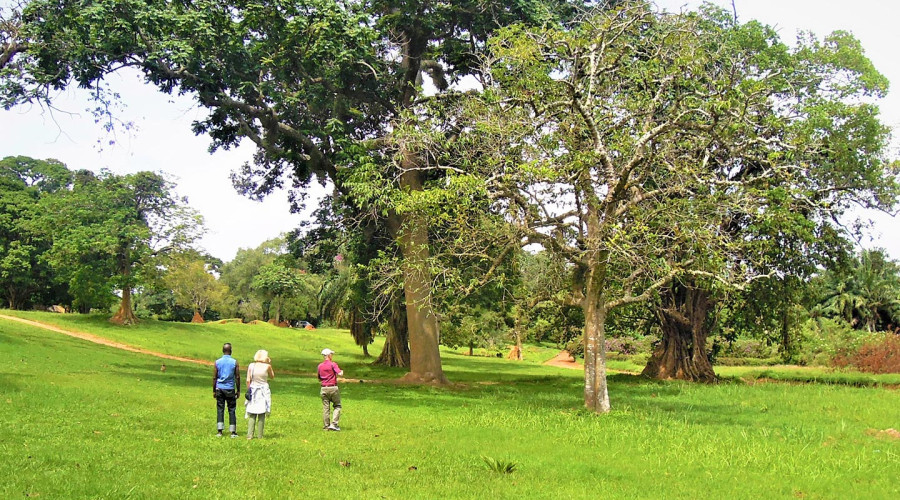 Explore the Entebbe Botanical Gardens