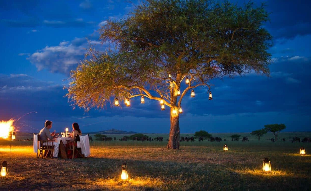 Night Game Drives & Bush Dinners