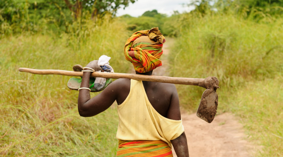  Chaga – The Farmers of Kilimanjaro