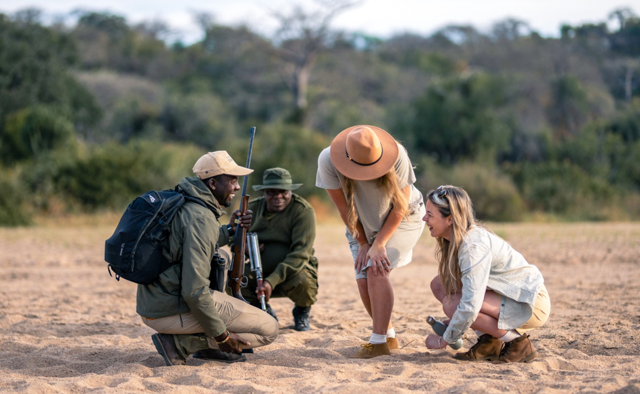 The Hidden Cost of a “Cheap” Safari