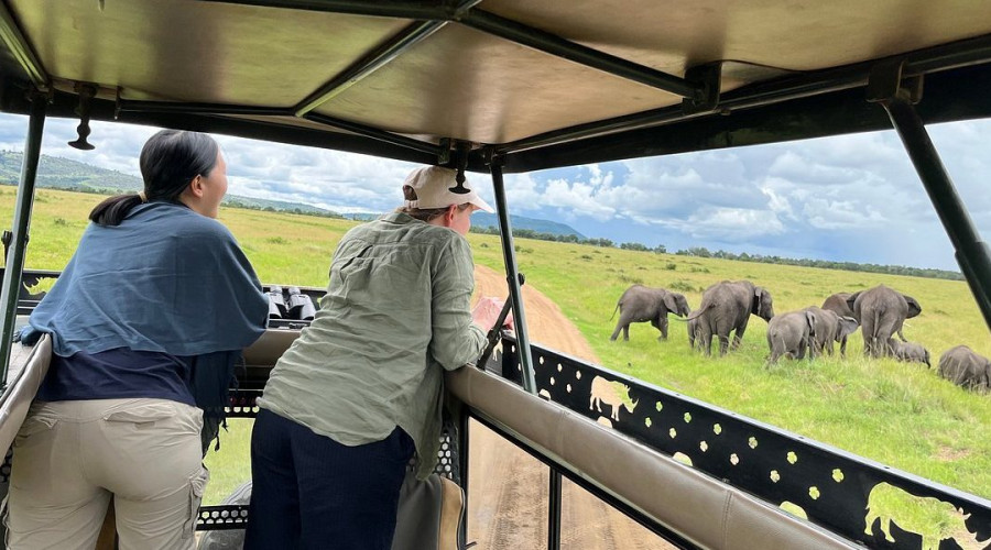 A True Safari Is an Investment in Experience