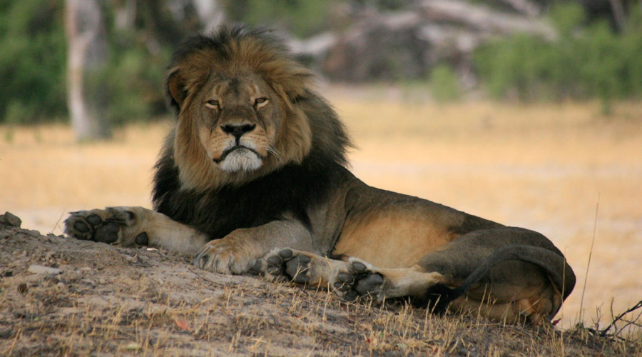 What is the Big Five?