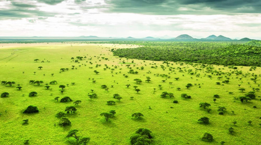 Green Season (November–May)