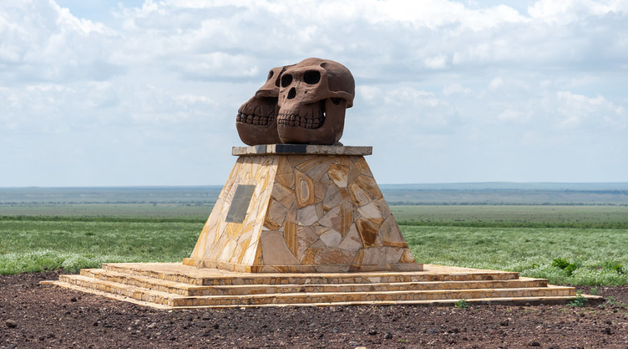 The Birthplace of Us All – The Cradle of Humankind