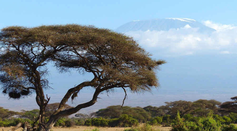  The Chagga Story — Kilimanjaro Before It Was Named