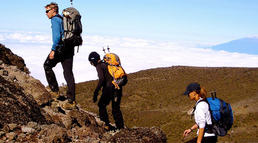 Marangu Route Success Rate