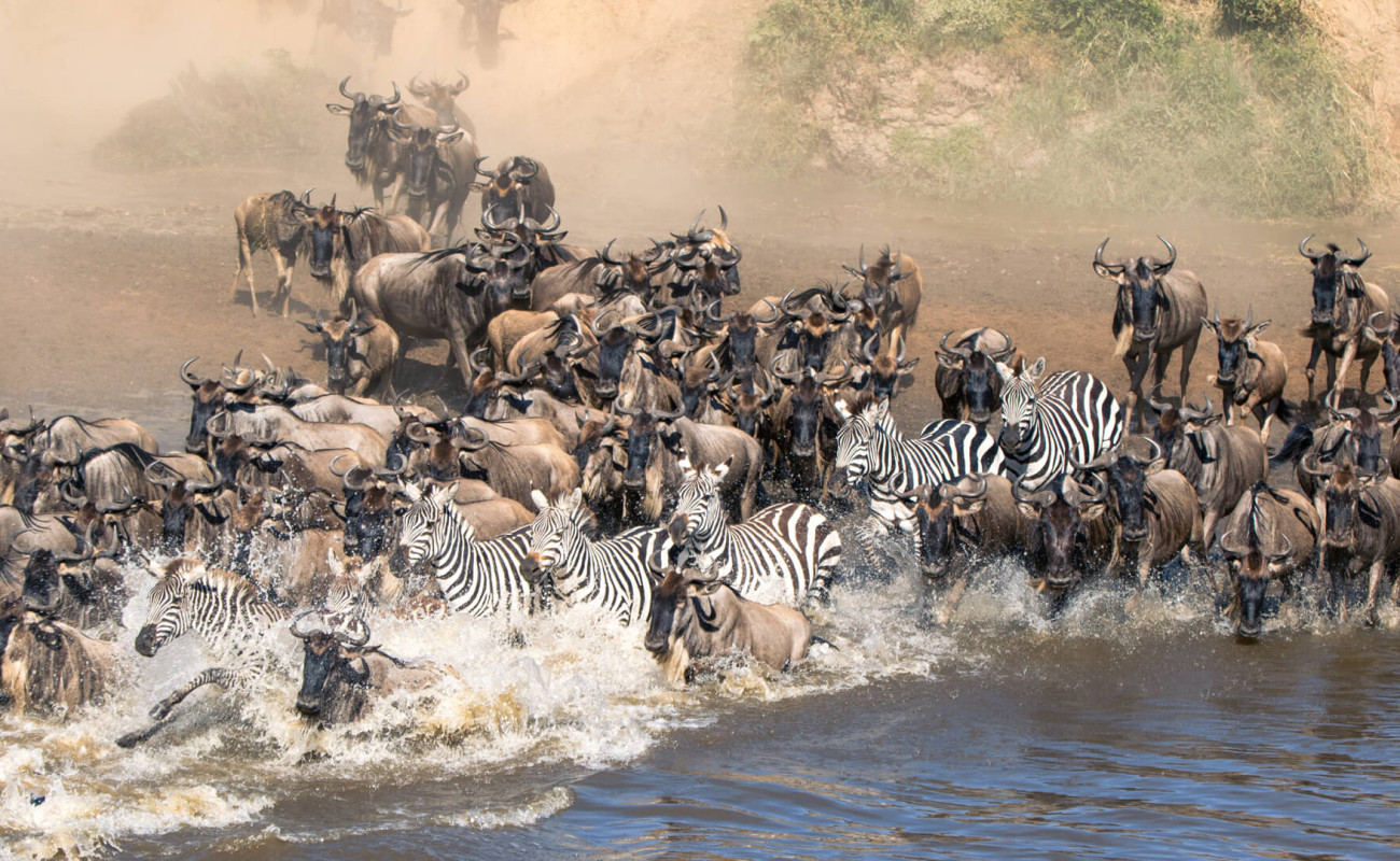 The Unbreakable Bond of the Savannah