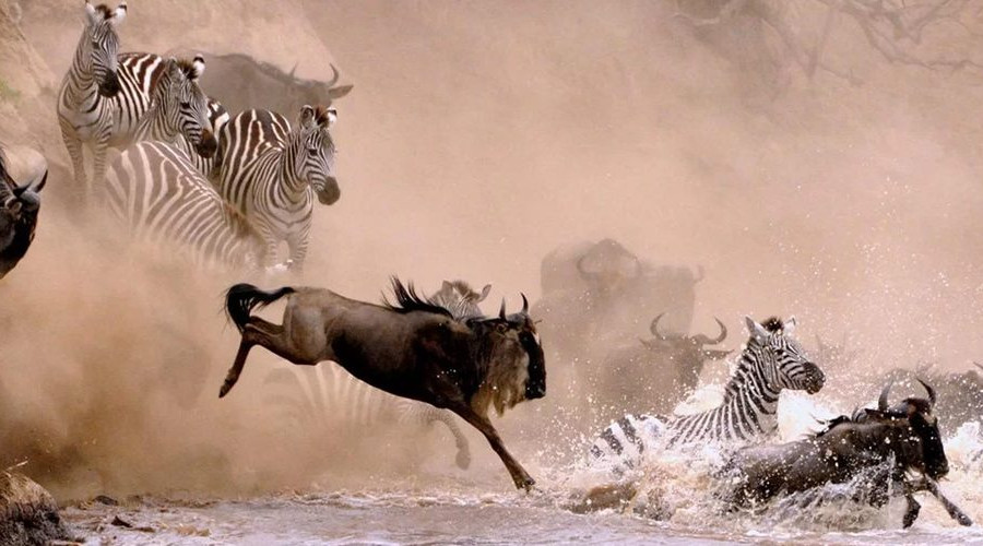 The Iconic River Crossing
