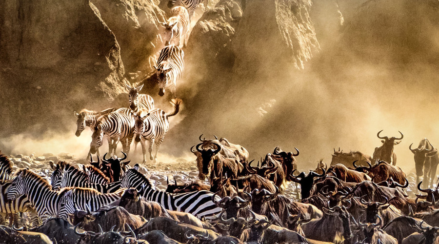 The Great River Crossing Safari Package