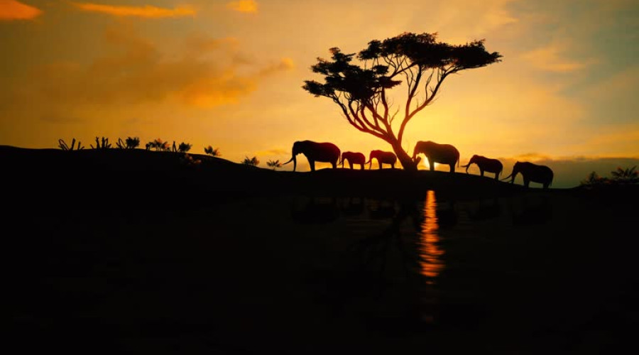 Sunset- The Serenade of the Sky