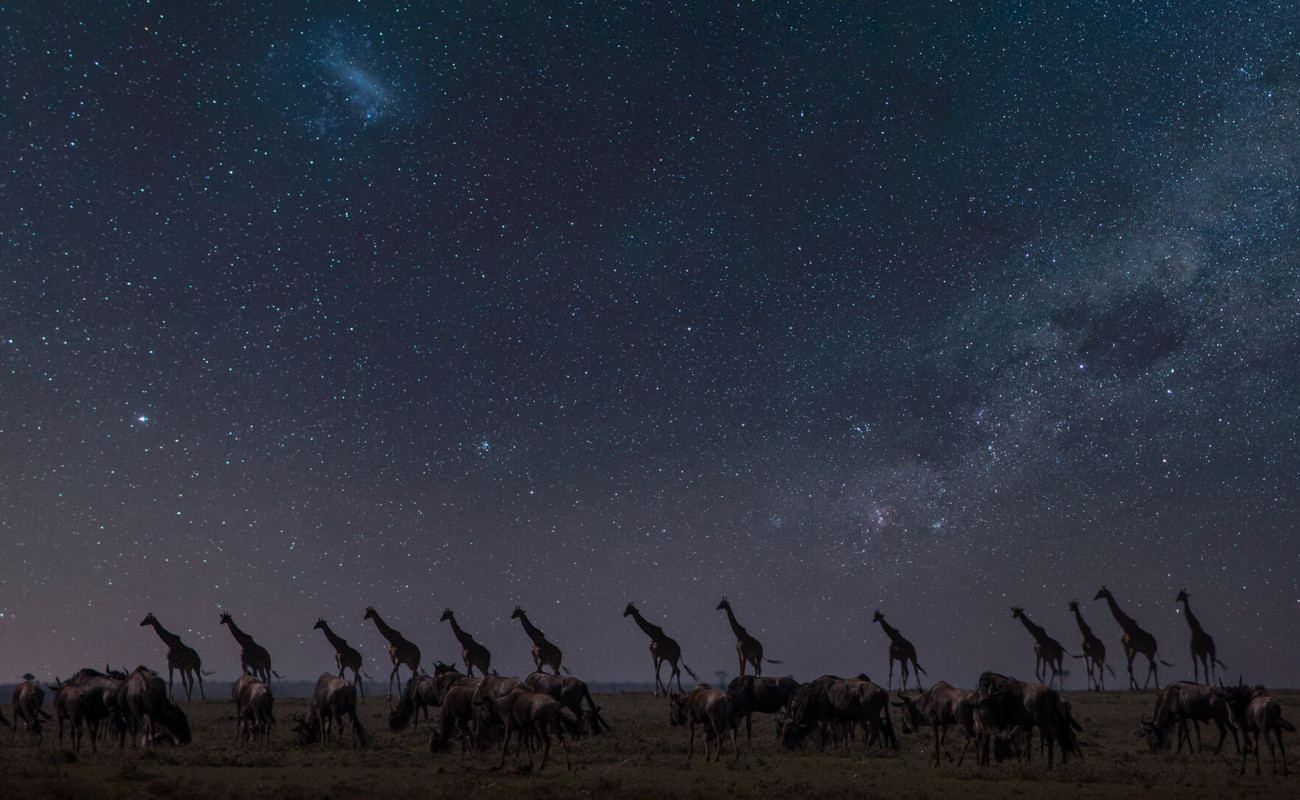 A Celestial Symphony Under Untouched Skies