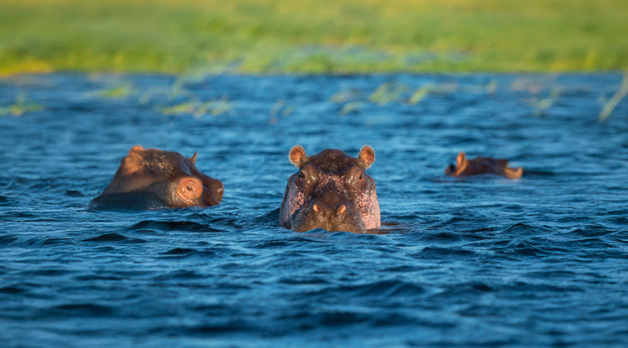 3. Masai Mara National Reserve – Kenya