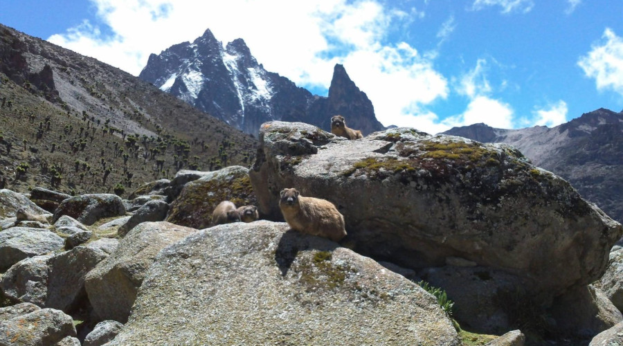 The Best Time to Climb Mount Kenya