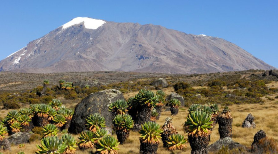 Conservation and Responsible Trekking