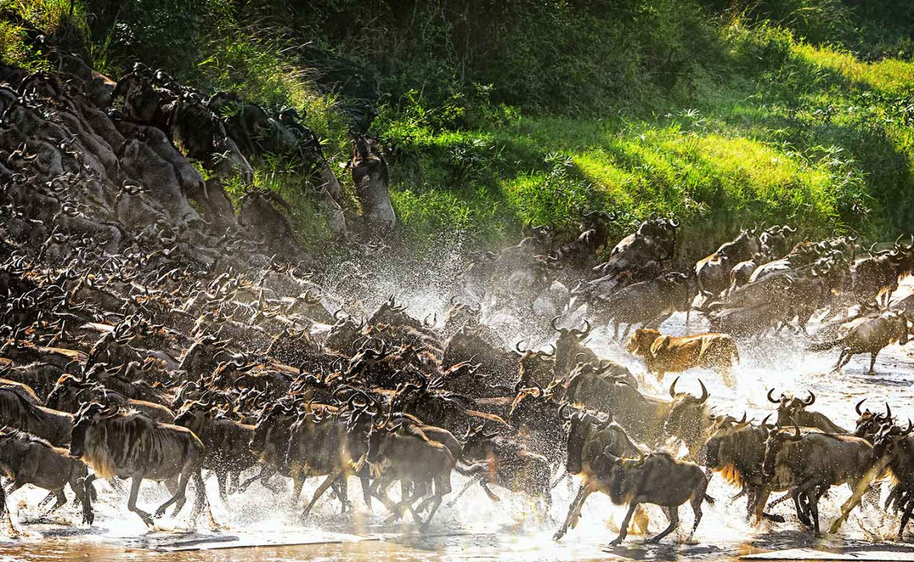 The River of Blood & Death