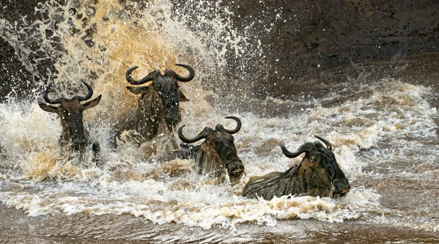 Why the River is So Deadly