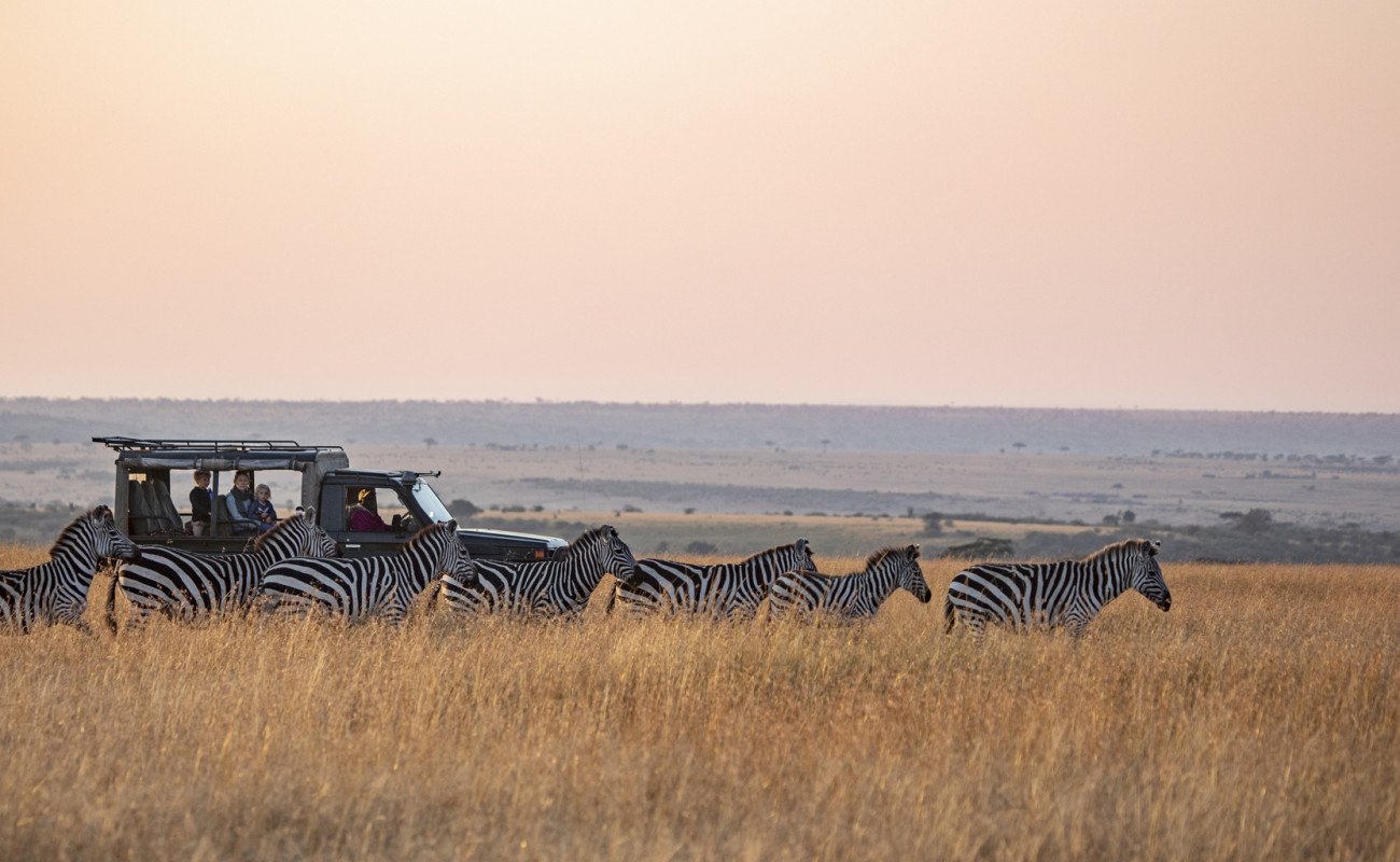 The Origin of Game Drives