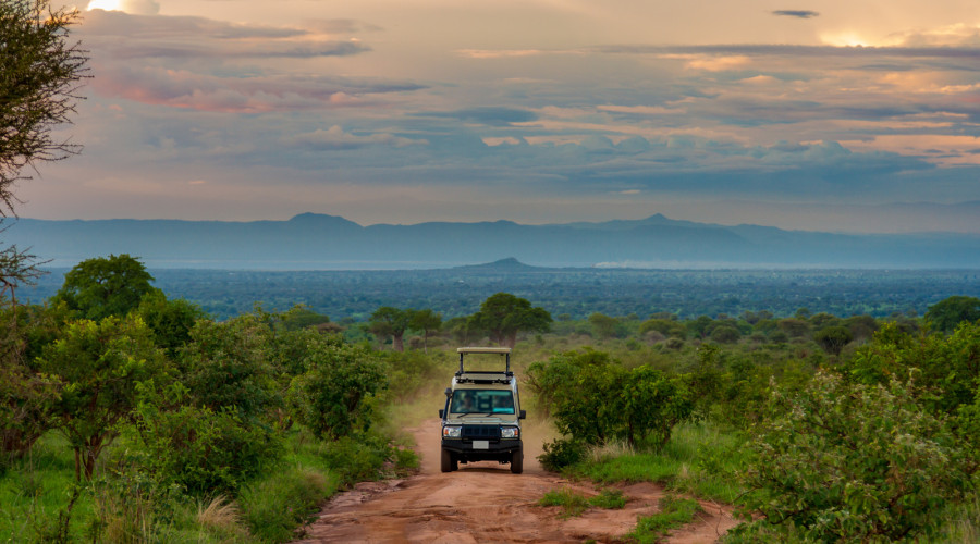 The Origin of Game Drives