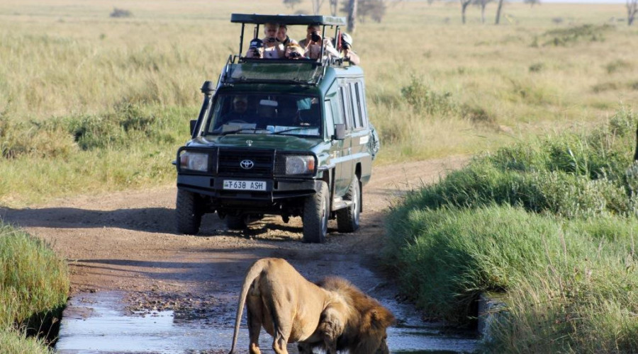 Types of Game Drives