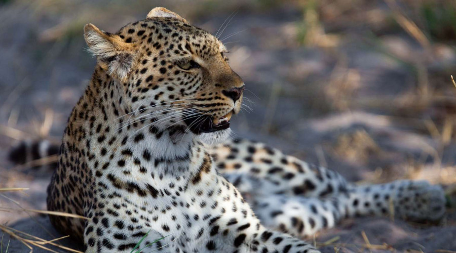 Conservation Matters