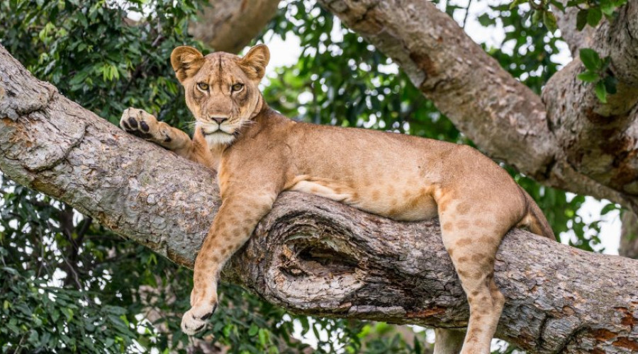 Conservation & Respect