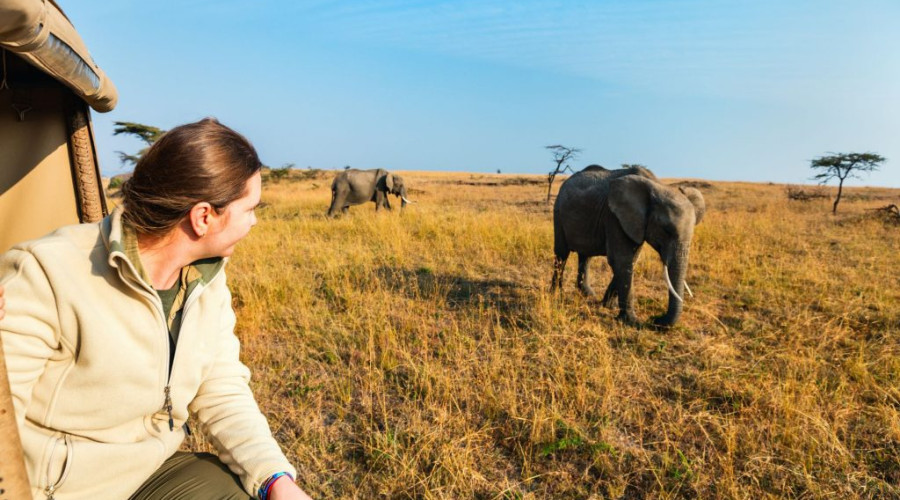 Walking Safaris- Intimate, Immersive & Deeply Natural