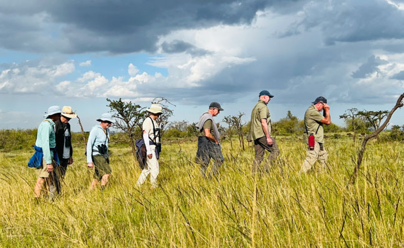 Walking Safari vs Game Drives – Which One is Right for You?