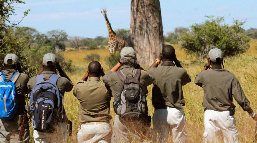 Protectors of Wildlife and Guests