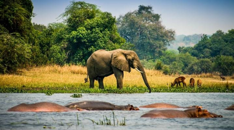 Why the Green Season Is Misunderstood