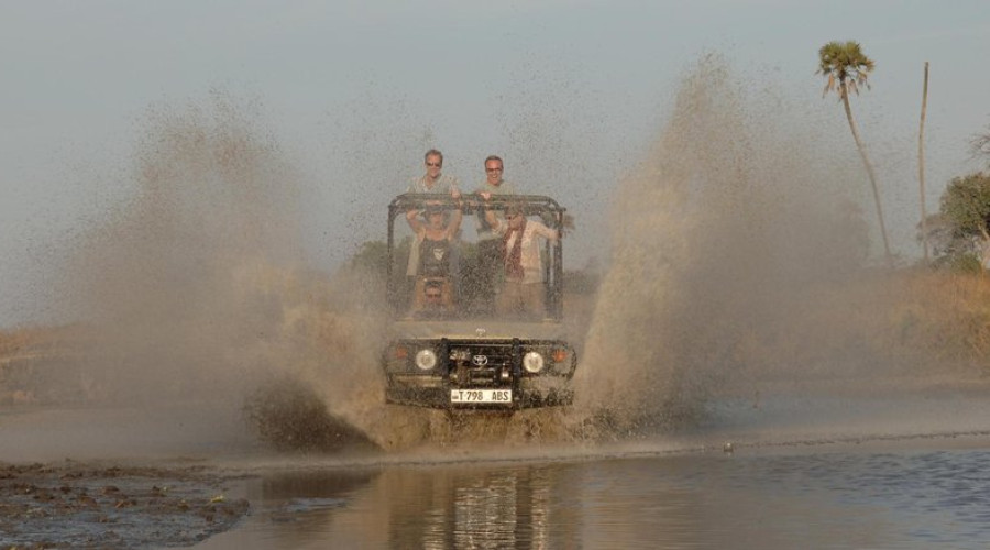 The Reality of Safari Roads