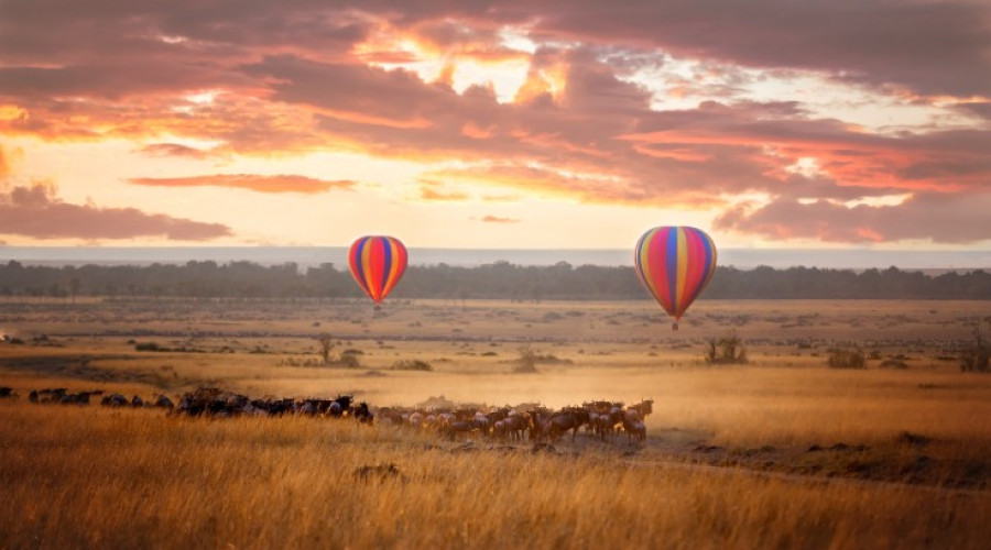Practical Tips for Tourists