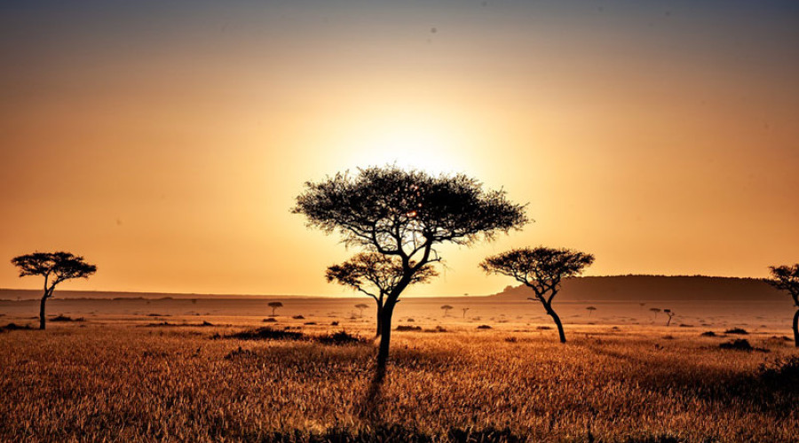 Best Dry Season Parks