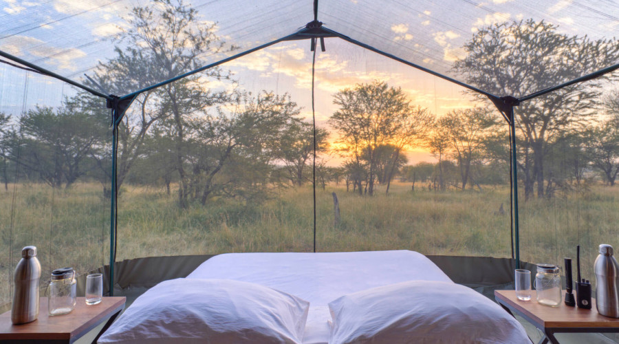 Is It Safe to Sleep in Tented Camps?