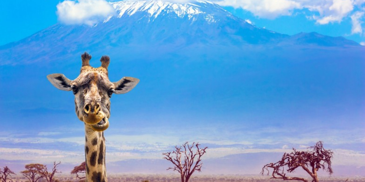 January in Kenya- Timeless Safaris with Space to Breathe