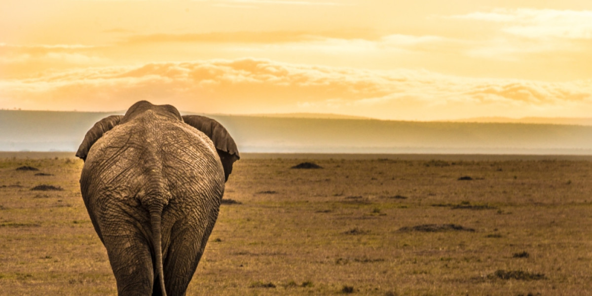 Why This Month Is Exceptional