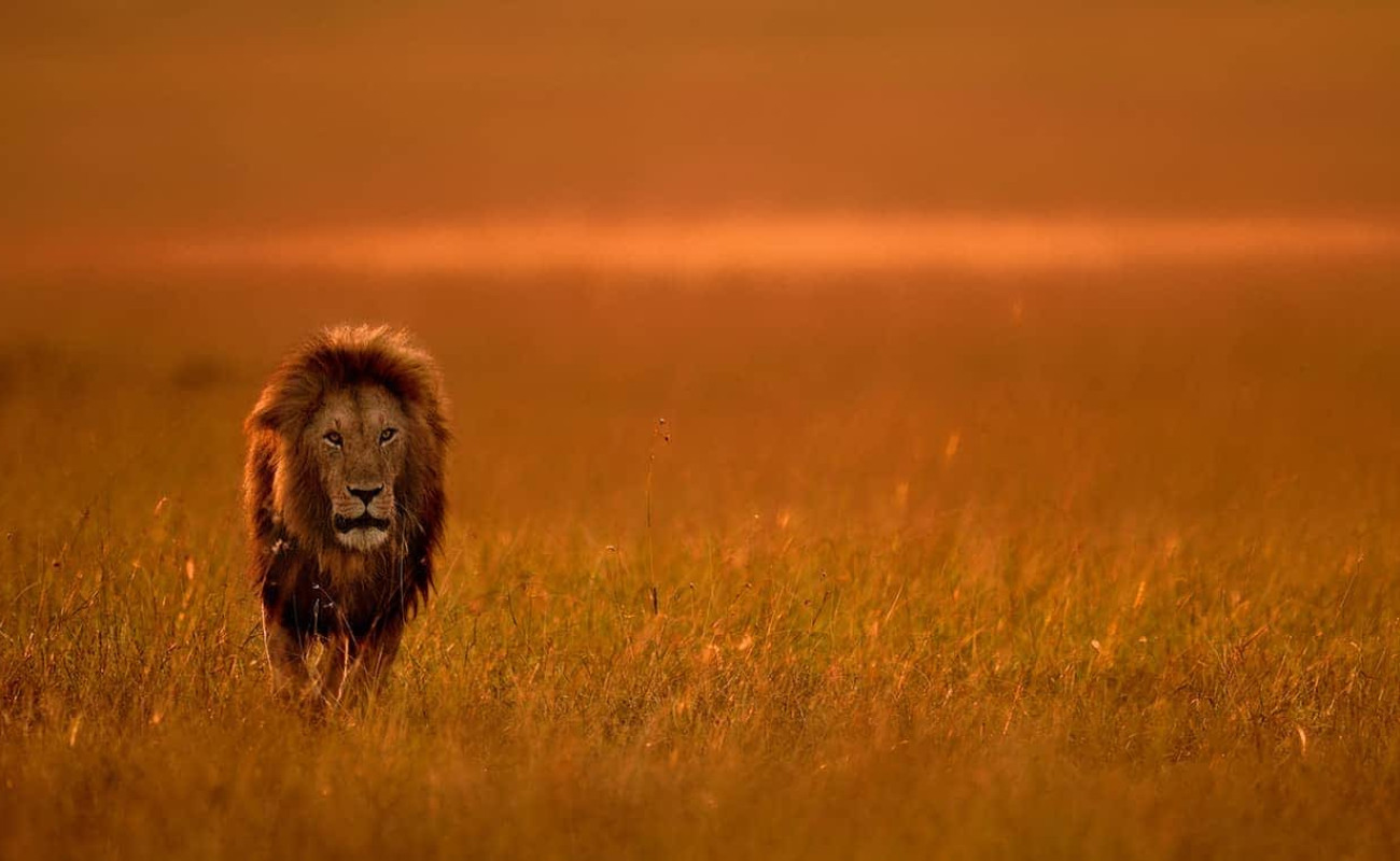 March in East Africa’s Wild Heart