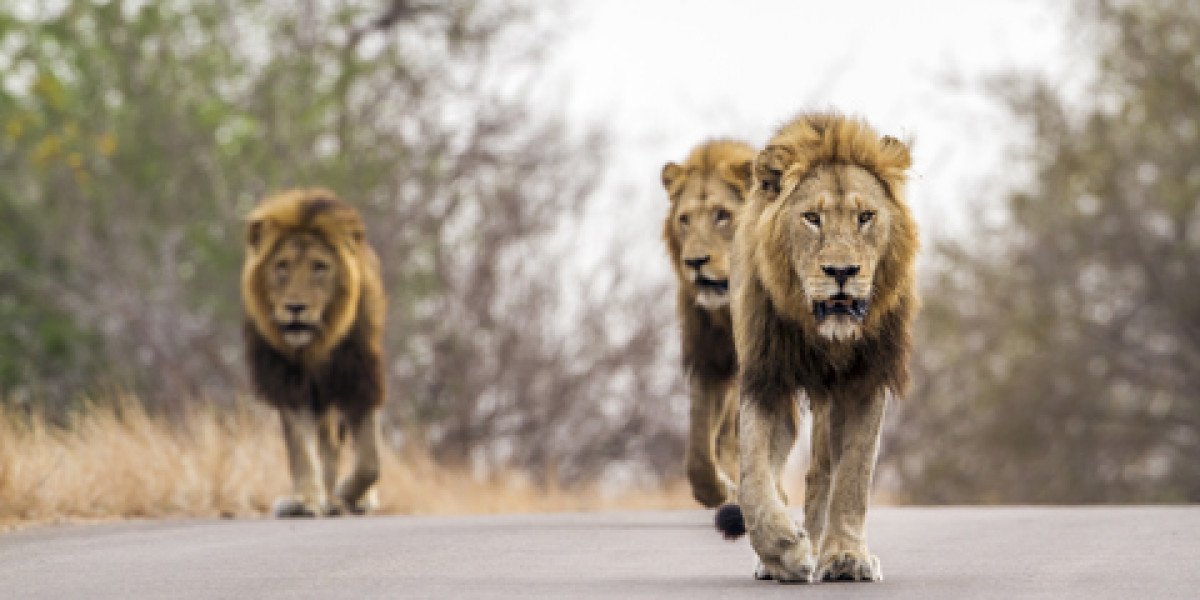 Why March Stands Out