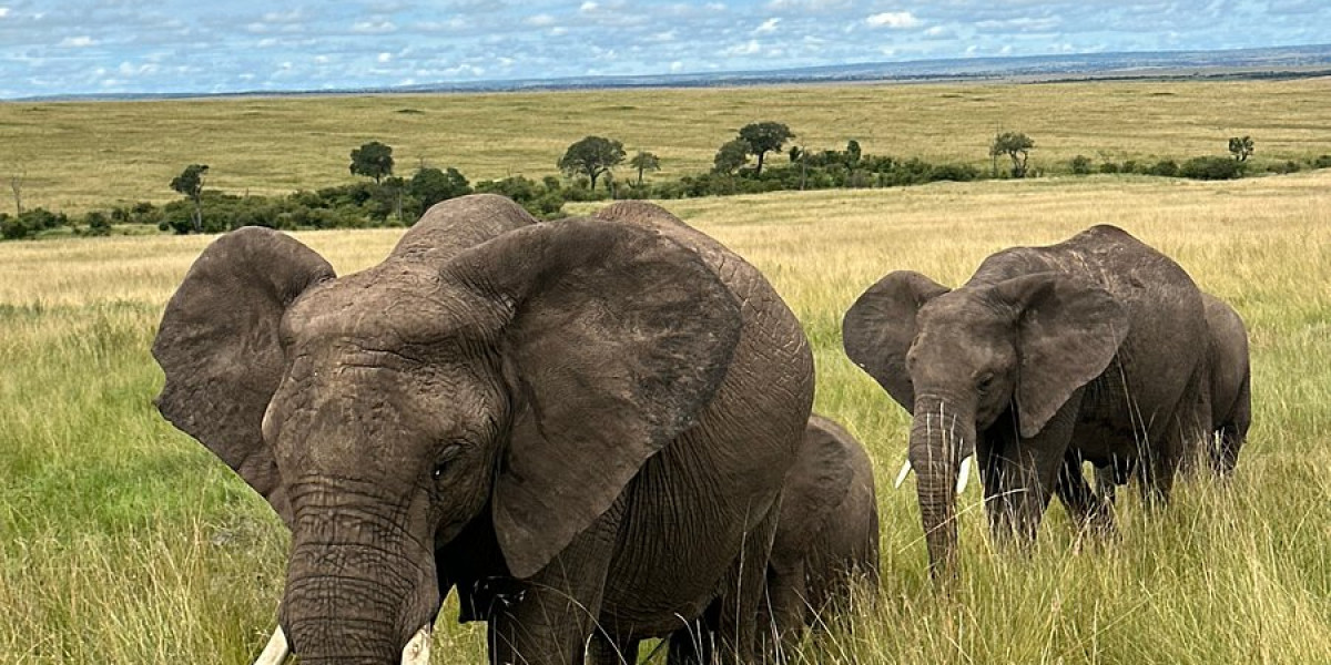 March in Kenya- Quiet Savannahs and Stunning Vistas